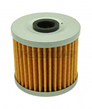 AEM High Volume Fuel Filter Element Replacement For 25-200Bk