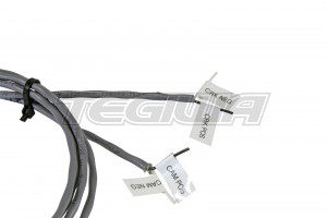 AEM Infinity Core Accessory Wiring Harness - MAG Cam / MAG Crank