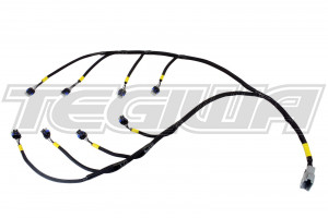 AEM Infinity Core Accessory Wiring Harness - GM LS Coils GM Cyl
